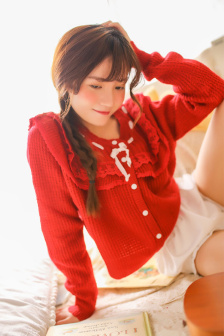 碧血洗银枪
